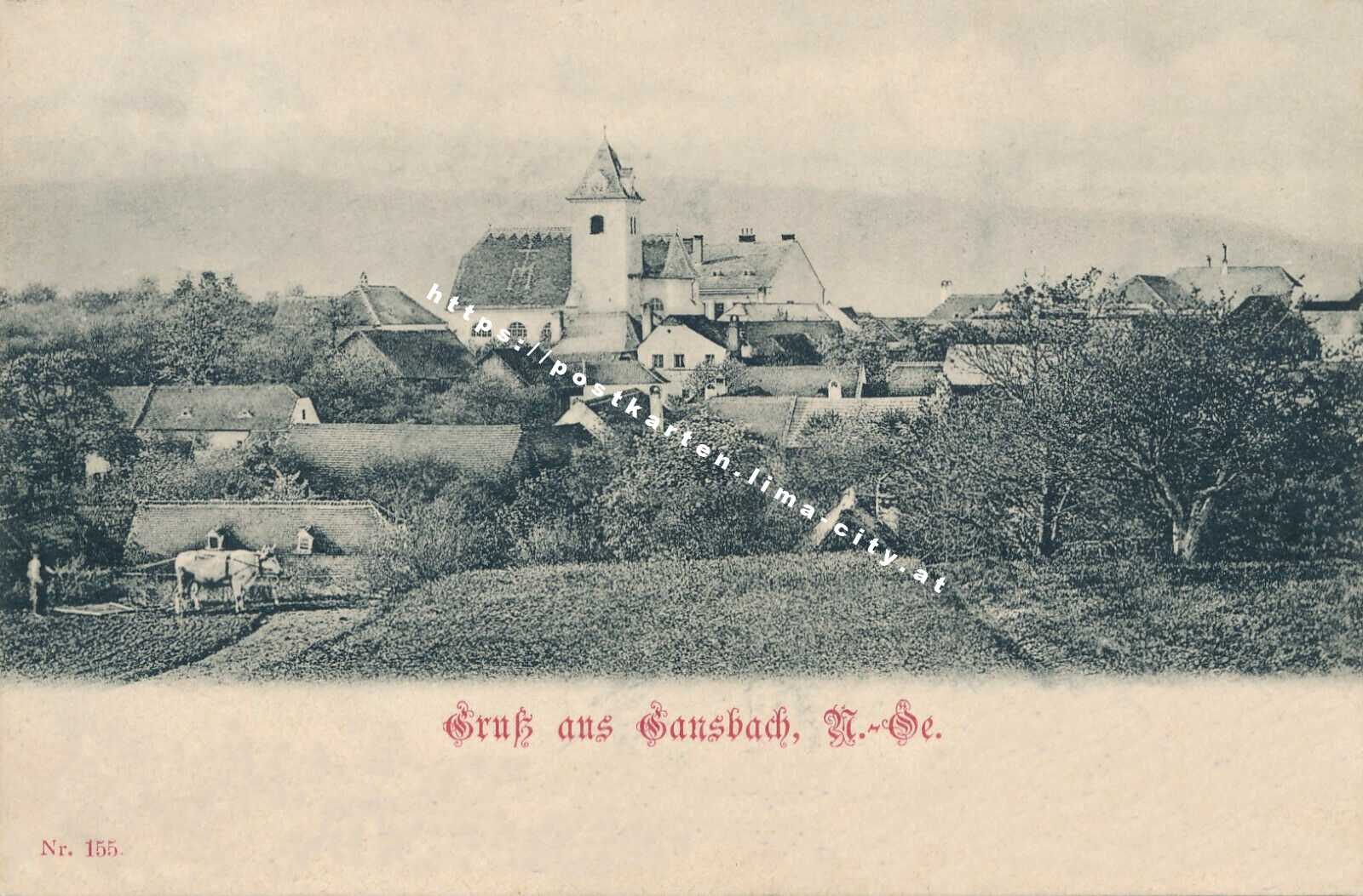Gansbach 1902