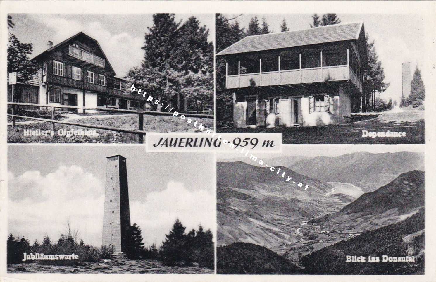 Jauerling 1955